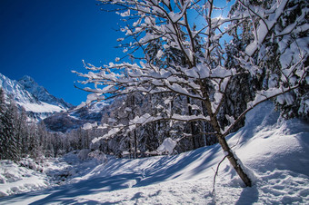 冬天景观法国阿尔卑斯山脉