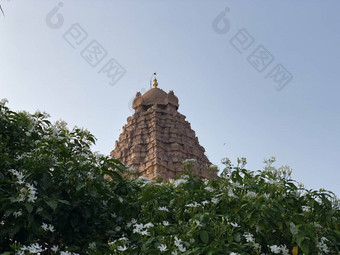 布里哈迪斯瓦拉尔寺庙甘盖孔达乔拉普拉姆泰米尔Nadu