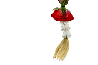 色彩斑斓的泰国加兰花红色的玫瑰白色champaka大丽茉莉花花白色背景空间把文本
