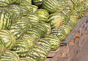 堆成熟的绿色西瓜市场
