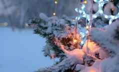 罗马焰火筒燃烧圣诞节树公园