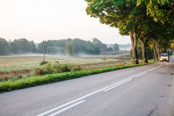 <strong>大卡车</strong>沥青路森林