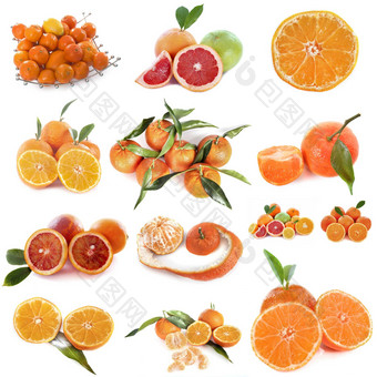 柑橘类水果工作室