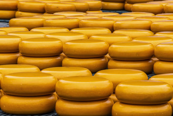奶酪堆放阿尔克马尔市场荷兰荷兰