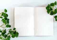 白色纸笔记本绿色叶子框架