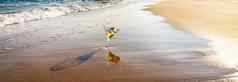 喝马提尼玻璃洗海水桑迪海滩