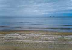海滩完整的白色贝壳波罗的海海斯维诺乌伊希切11月