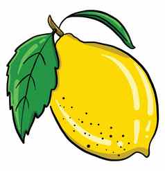 黄色的柠檬插图向量白色背景