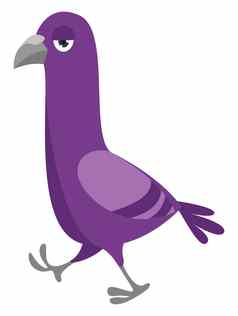 紫色的鸽子插图向量白色背景