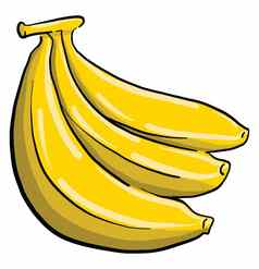 包香蕉插图向量白色背景