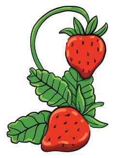 新鲜的草莓插图向量白色背景