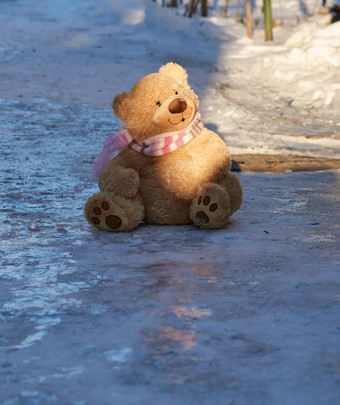 大可爱的卷曲的泰迪熊围巾坐着白色雪