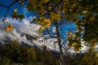 秋天景观法国阿尔卑斯山脉