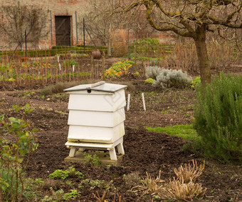 蜂巢围墙花园