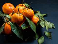 大橙色橘子分支机构叶子服务