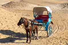 马小车沙漠吉萨埃及