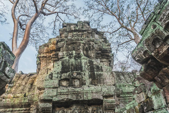 柬埔寨吴哥什么prohm寺庙墓掠袭者树根废墟