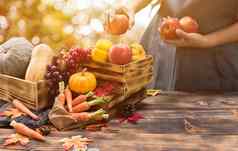 秋天收获丰饶的象征农民水果蔬菜秋天季节感恩节一天概念