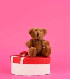 可爱的棕色（的）泰迪熊红色的礼物盒子粉红色的背景