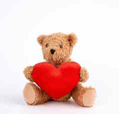 可爱的棕色（的）泰迪熊持有大红色的心白色后台支持
