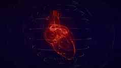在解剖学上正确的红色的数字人类心未来主义的粒子心脏扫描