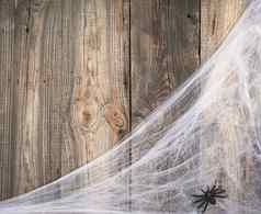 白色蜘蛛网络黑色的蜘蛛灰色的木背景