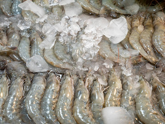 新鲜的虾压<strong>碎冰</strong>泰国海鲜市场