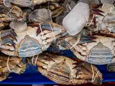 新鲜的螃蟹压碎冰泰国海鲜市场