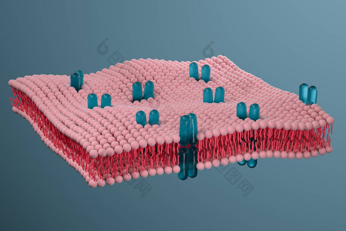 细胞膜生物学生物概念呈现