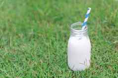 特写镜头玻璃瓶牛奶绿色草自然背景