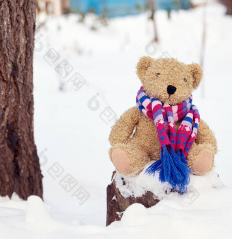 棕色（的）孩子们软玩具熊明亮的针织围巾
