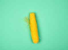 成熟的黄色的玉米结实的矮绿色背景