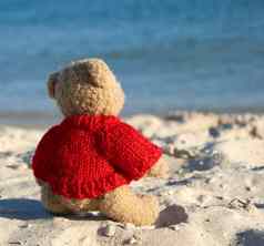 棕色（的）泰迪熊红色的毛衣