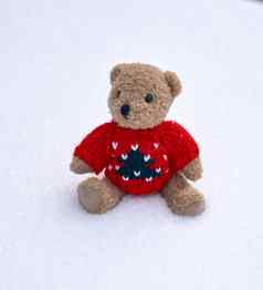 泰迪熊红色的毛衣坐在