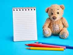 棕色（的）泰迪熊空白笔记本