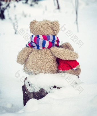 泰迪棕色（的）熊坐拥抱树桩它