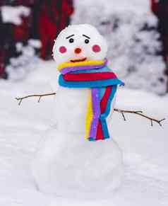 有趣的雪人色彩斑斓的围巾伤心脸