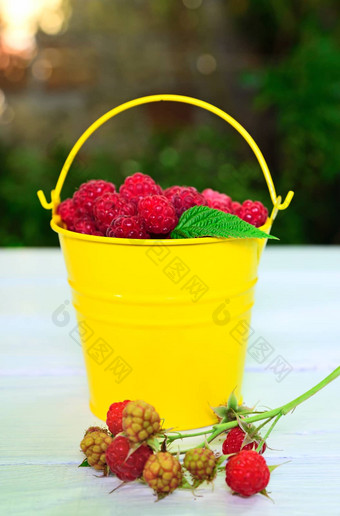 成熟的红色的树莓黄色的<strong>铁桶</strong>