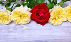 花束黄色的玫瑰红色的玫瑰