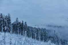 白雪覆盖的森林山坡上冬天山景观