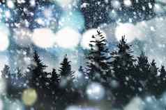 冬天圣诞节背景设计松树雪法尔