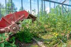 小拖拉机温室农场培养水果蔬菜