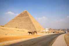 马骑沙漠开罗埃及