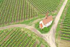 空中视图葡萄园风景凯撒施图尔德国