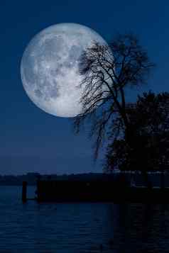 完整的月亮树湖反射
