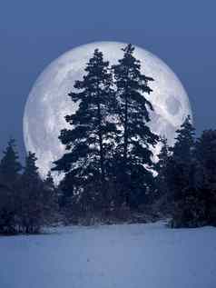 冬天风景晚上完整的月亮