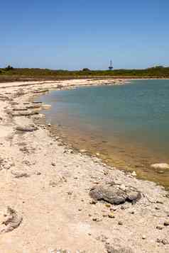 叠层石湖忒提斯西方澳大利亚