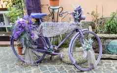 古董紫罗兰色的自行车花鞋带