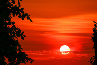 日落色彩斑斓的火焰云轮廓树红色的天空