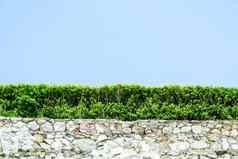 墙花岗岩石头自然绿色植物墙蓝色的天空